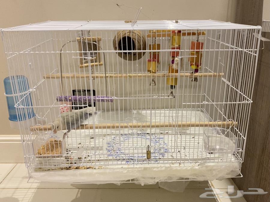 روز ذكر اليف64261176448899114