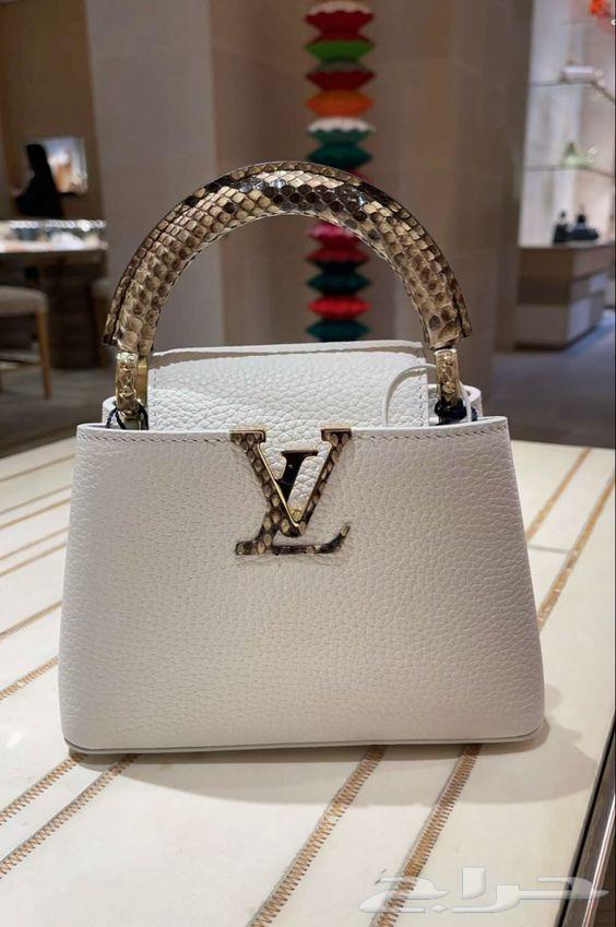 Louis Vuitton64259463341186110