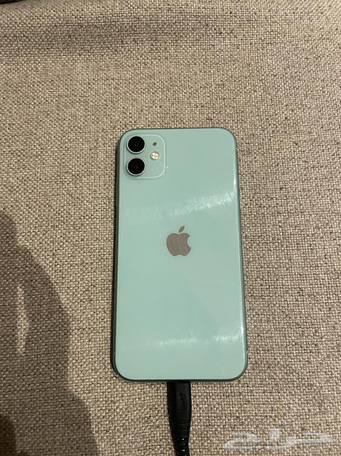 ايفون 11 العادي يحتاج فرمته64263047442818110