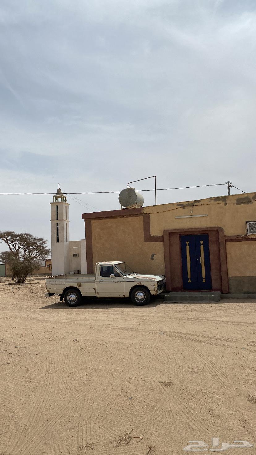 ددسن 1979 شدبلد عليه مكينه 84 نضيفه مسقط السوم 5الف64427396578561113