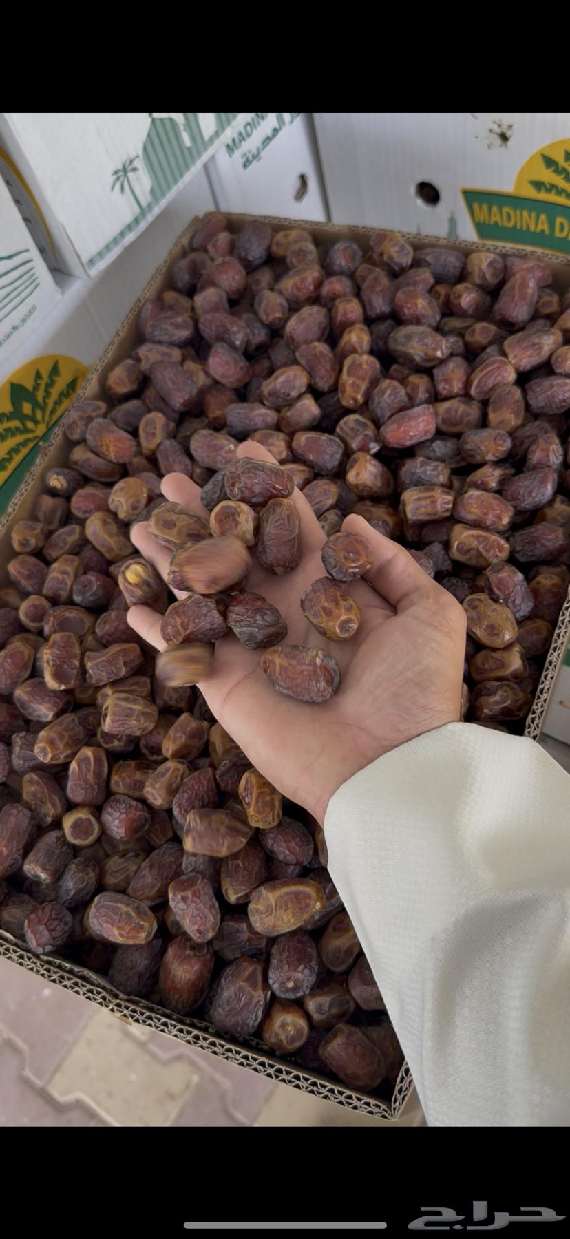 Tamr Rabia64275955926530110