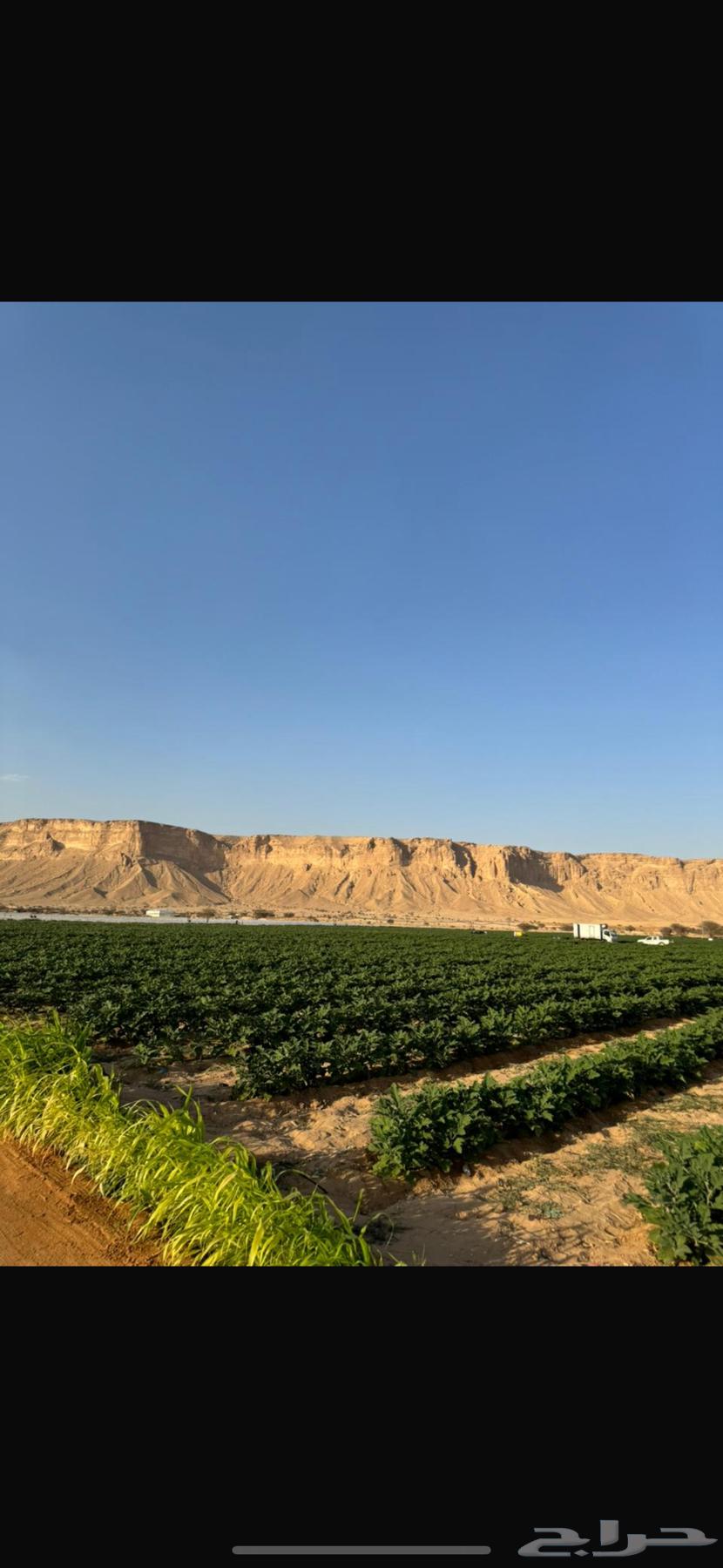 مزرعة للبيع