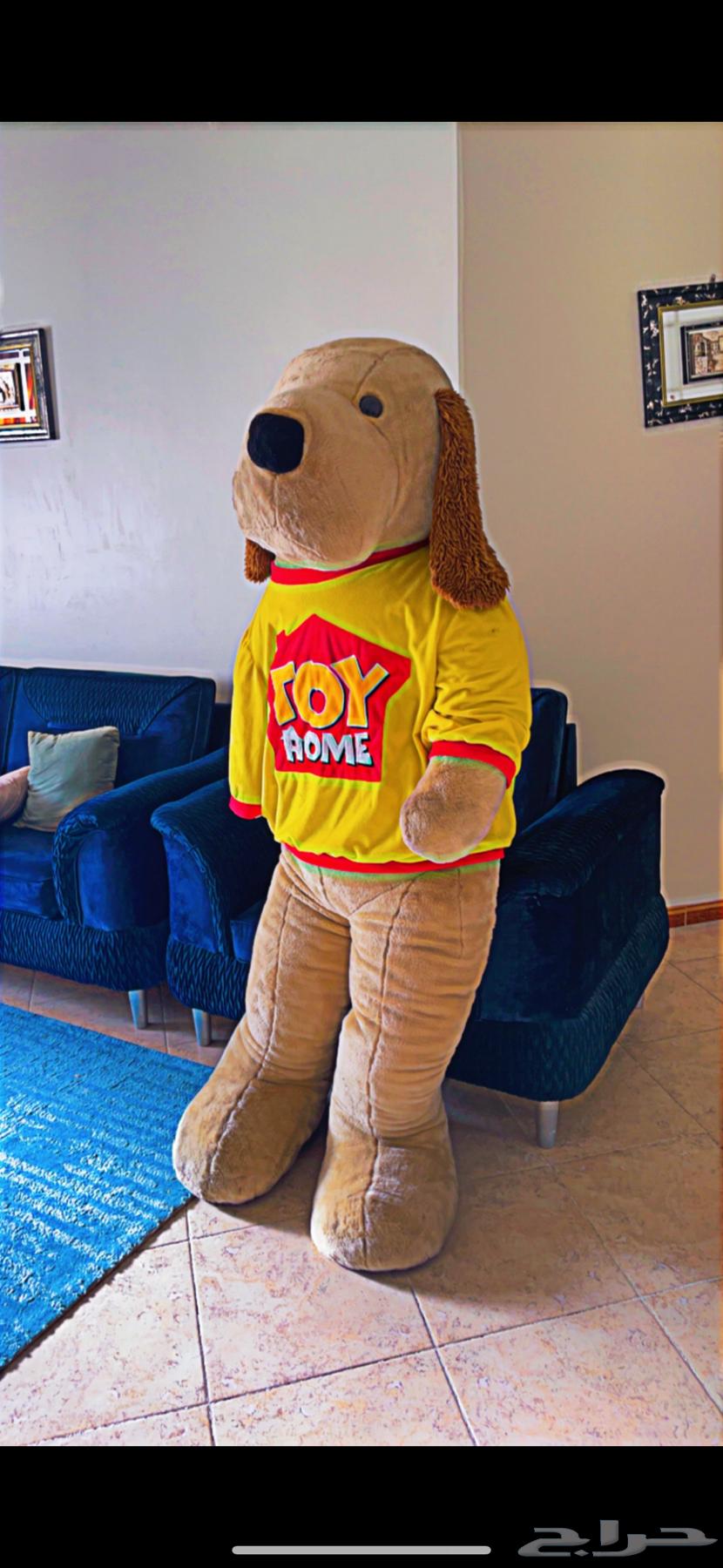 دميه ( دبدوب)64262035650435111