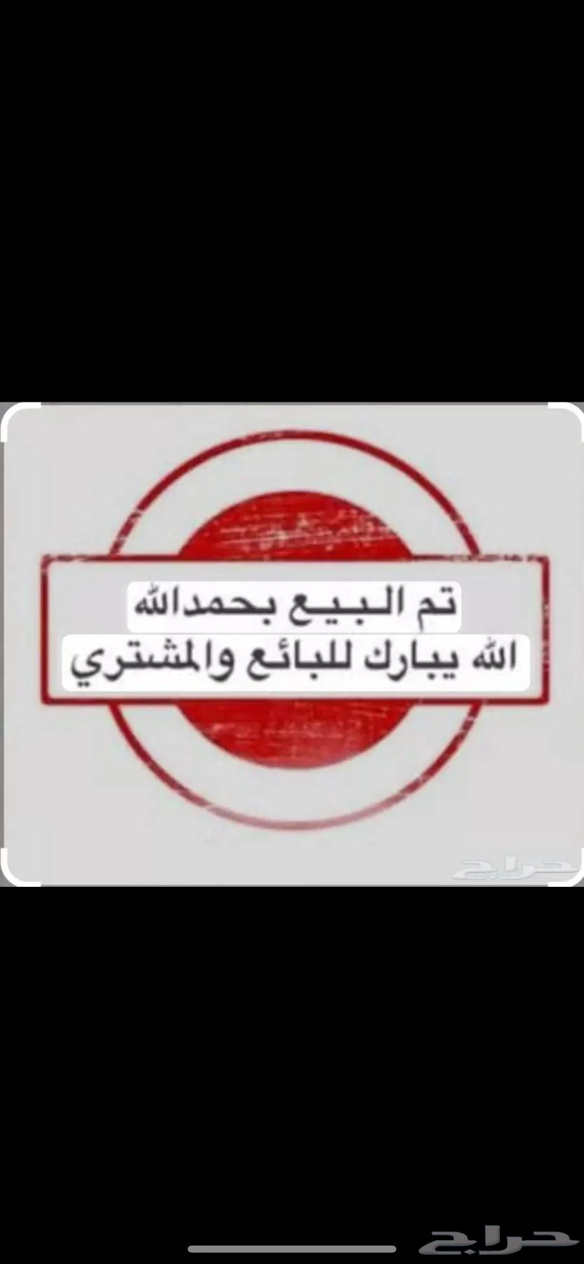 فحل حري صنف مشروط( تم البيع )64247727555203110