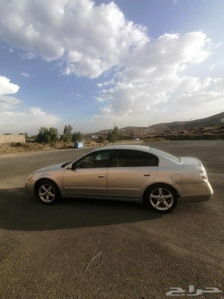 التيما 200664426806356738114