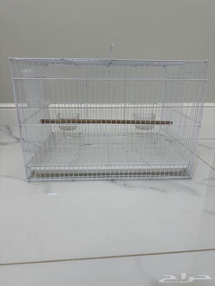 مجانا اغراض واسرة ومراتب مجانا مجانا64258062593921112