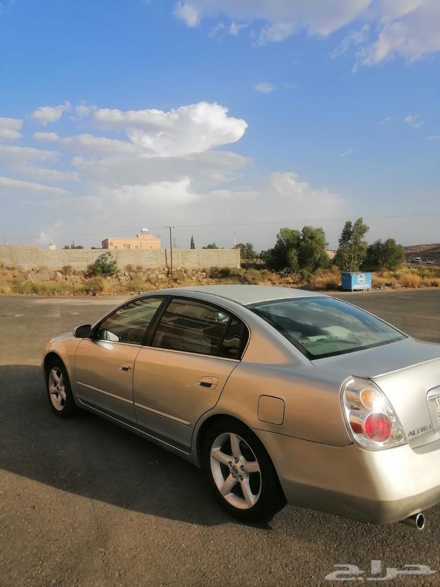 التيما 200664426806356738113