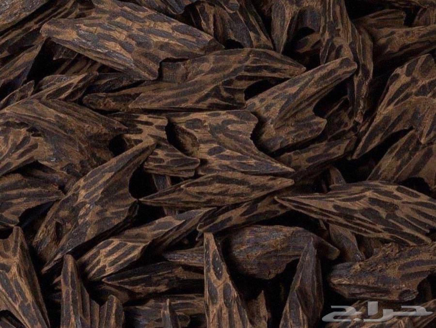 عود تايقر فيتنامي64257902549890111