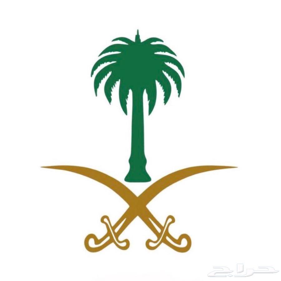 شراء سياره بحدود 1064421621624835110