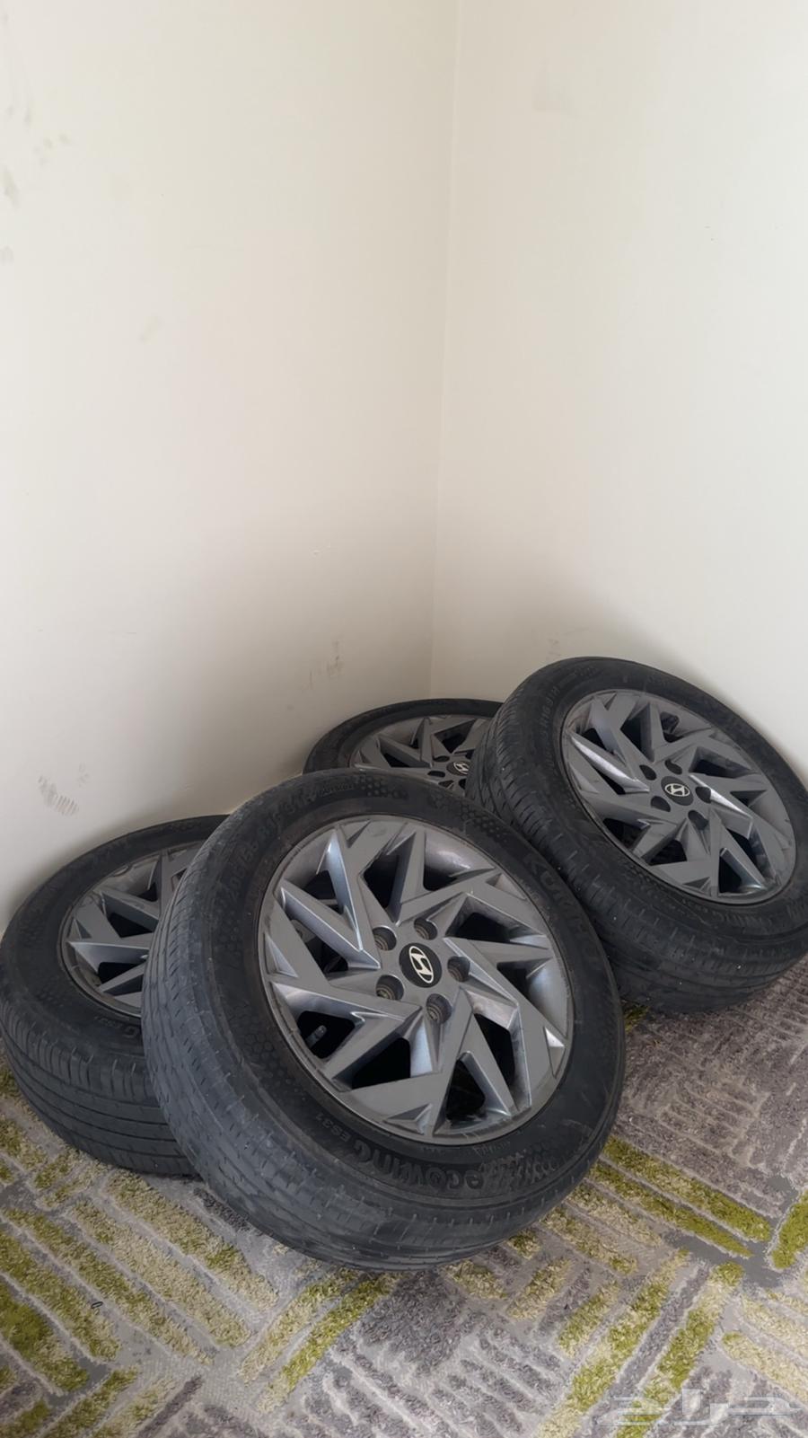 جنوط النترا 2024  202564437234442625112