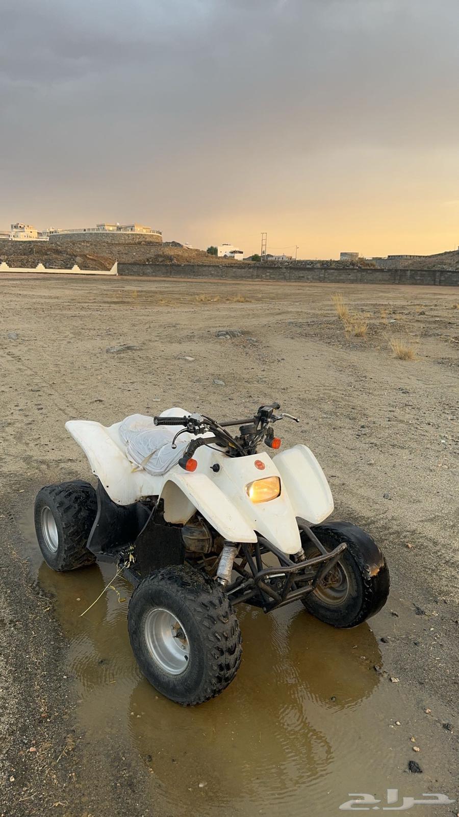 دباب سويدي64437759726979110