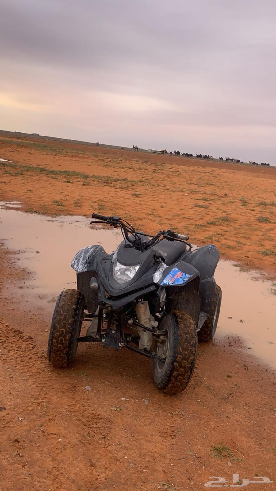 دباب رام مقاس 110 نضيف سريع جدا64433593050497110