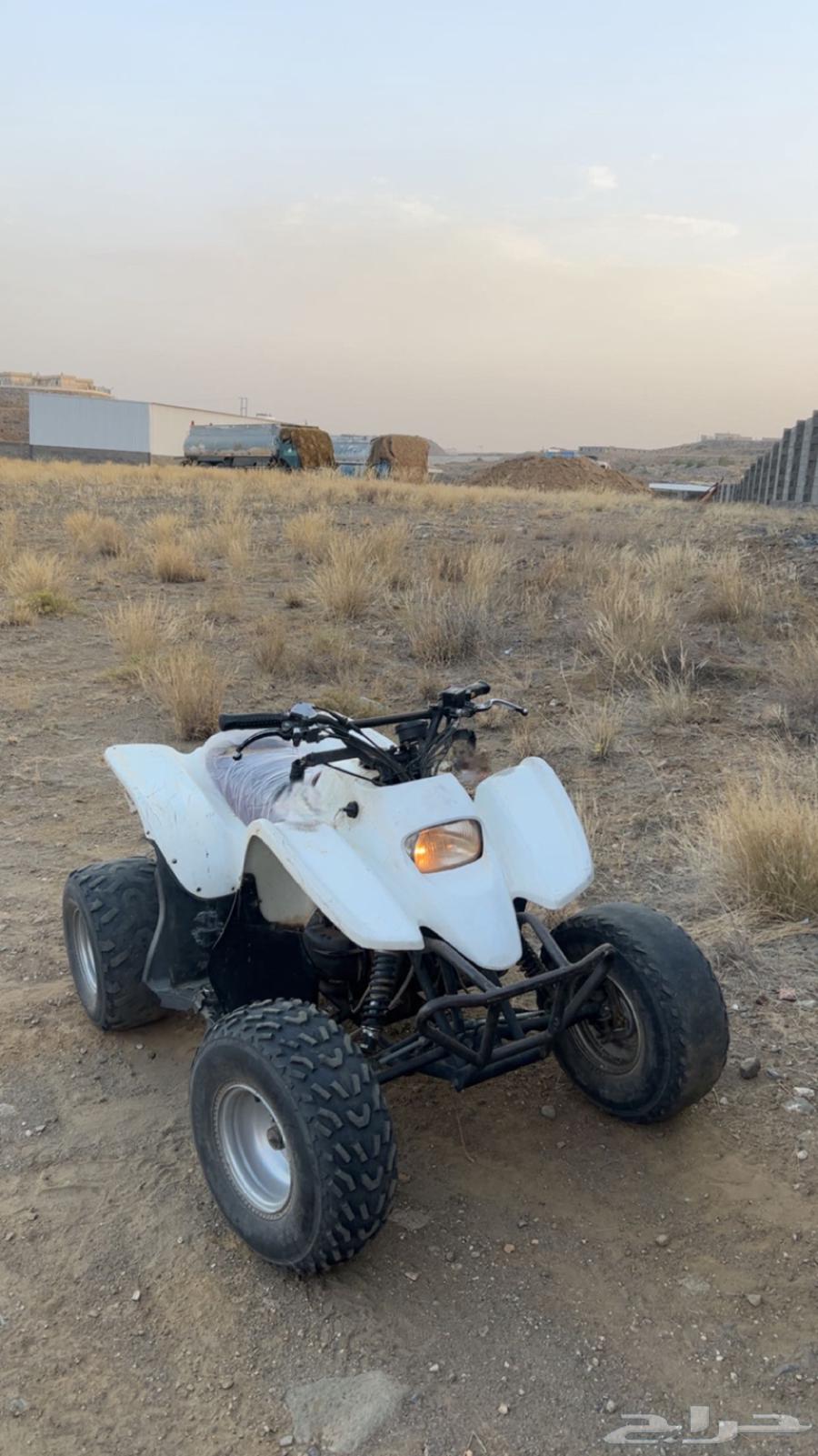 دباب سويدي64437759726979114