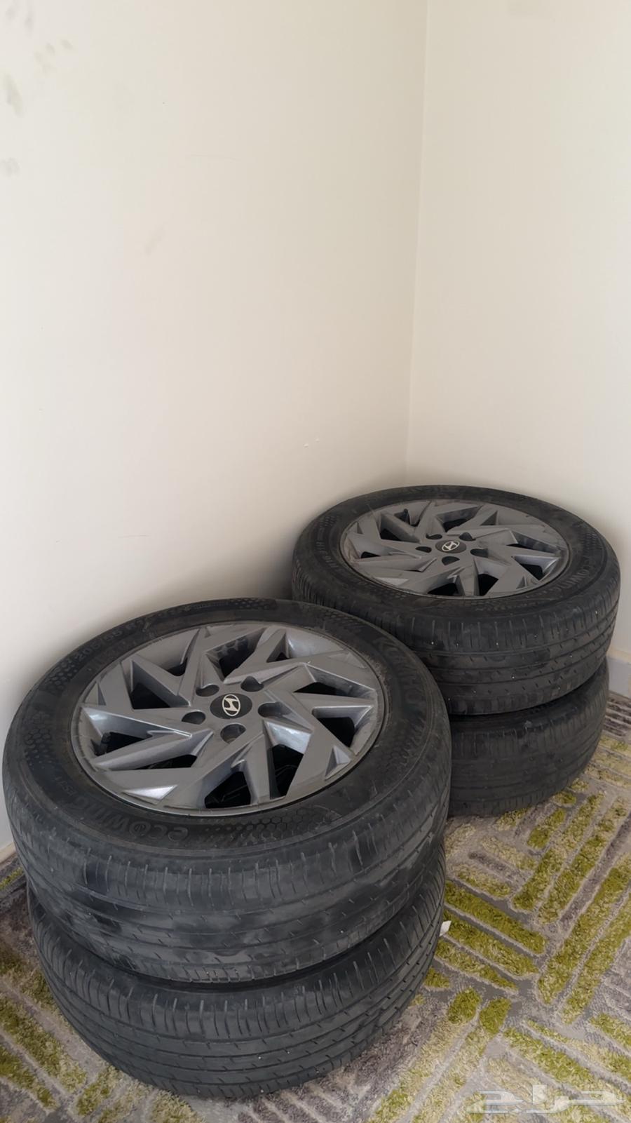 جنوط النترا 2024  202564437234442625113