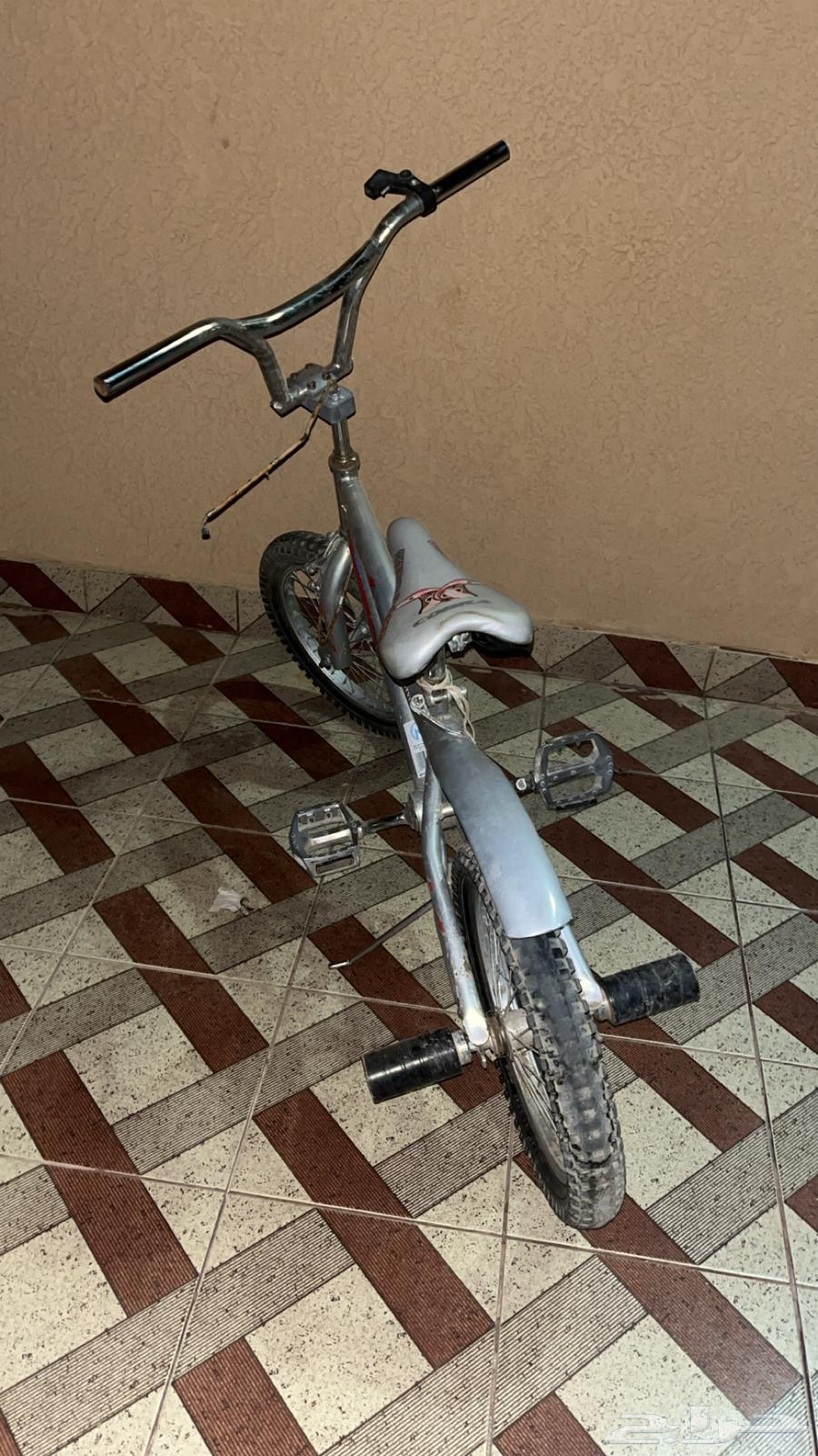 سيكل كوبرا64294747794051113