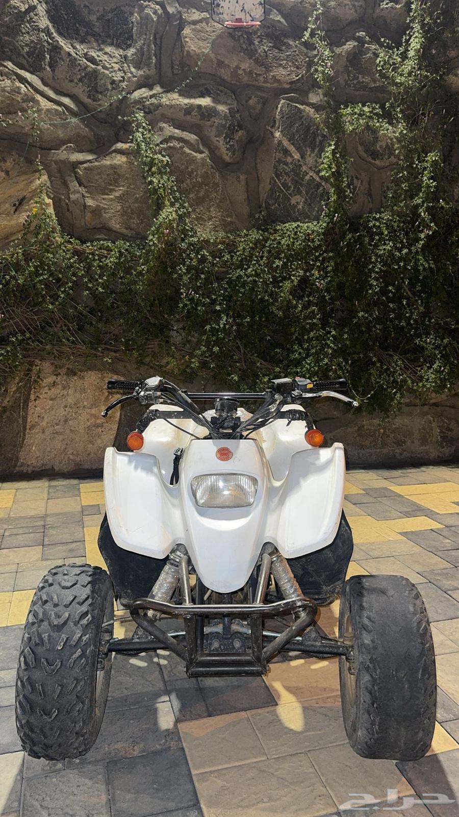 دباب سويدي64437759726979112