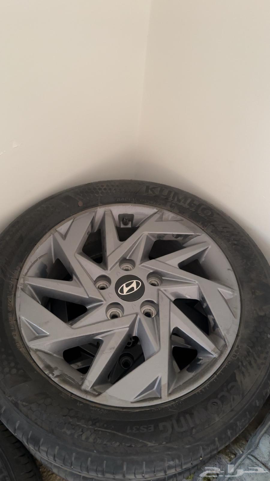 جنوط النترا 2024  202564437234442625110