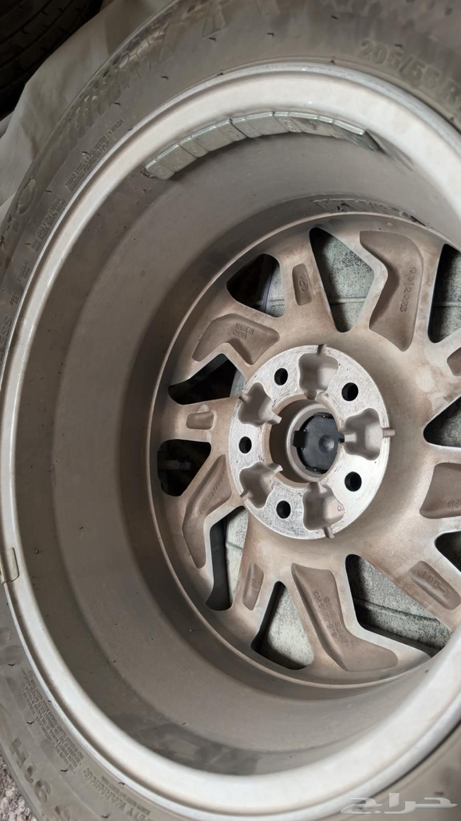 جنوط النترا 2024  202564437234442625111