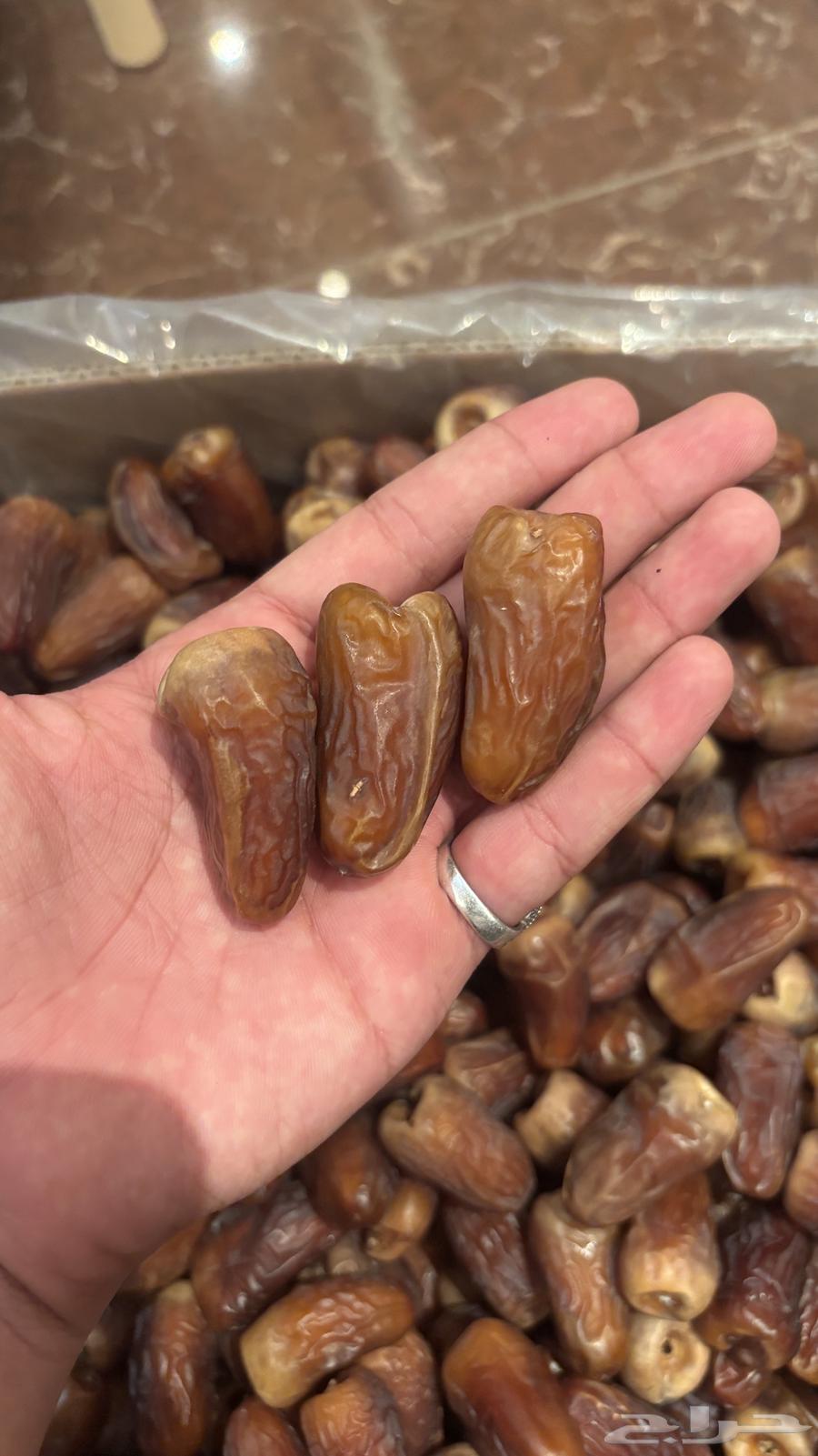 برني العيص فاخر64299568089091112