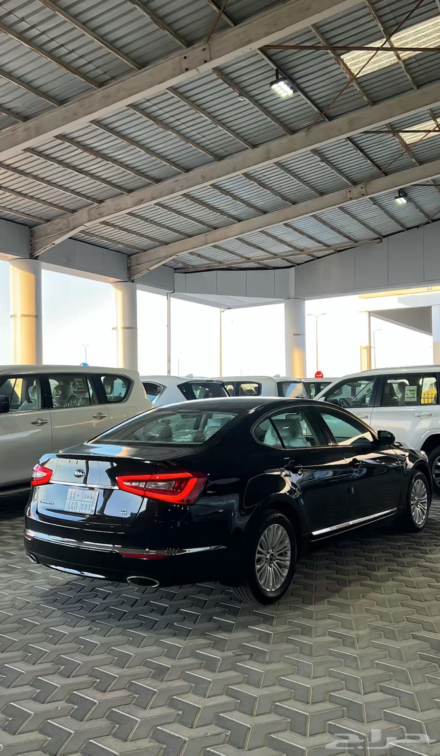 كيا كادينزاء مطلوب و الي يحصل له سعية64433819736707110