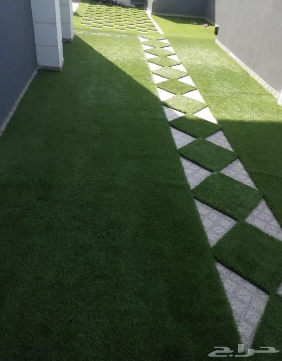 انجيلا ويتنامي اخضر في اخضر و اخضر مخلوط متوفر  له64438270172419113