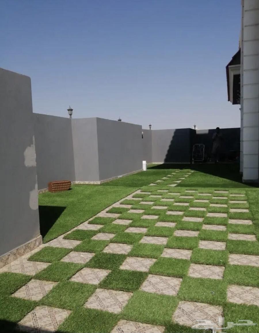 انجيلا ويتنامي اخضر في اخضر و اخضر مخلوط متوفر  له64438270172419112