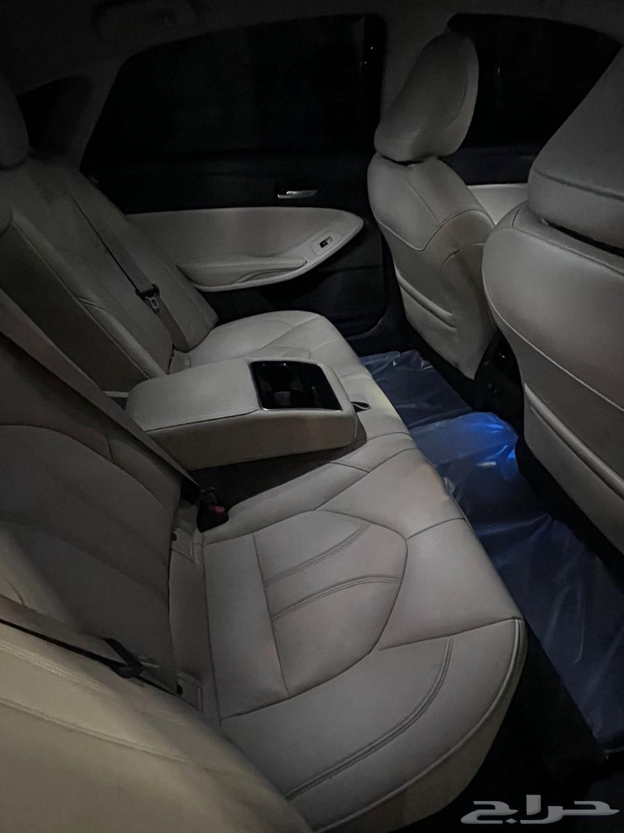 Avalon 202164437126115330114