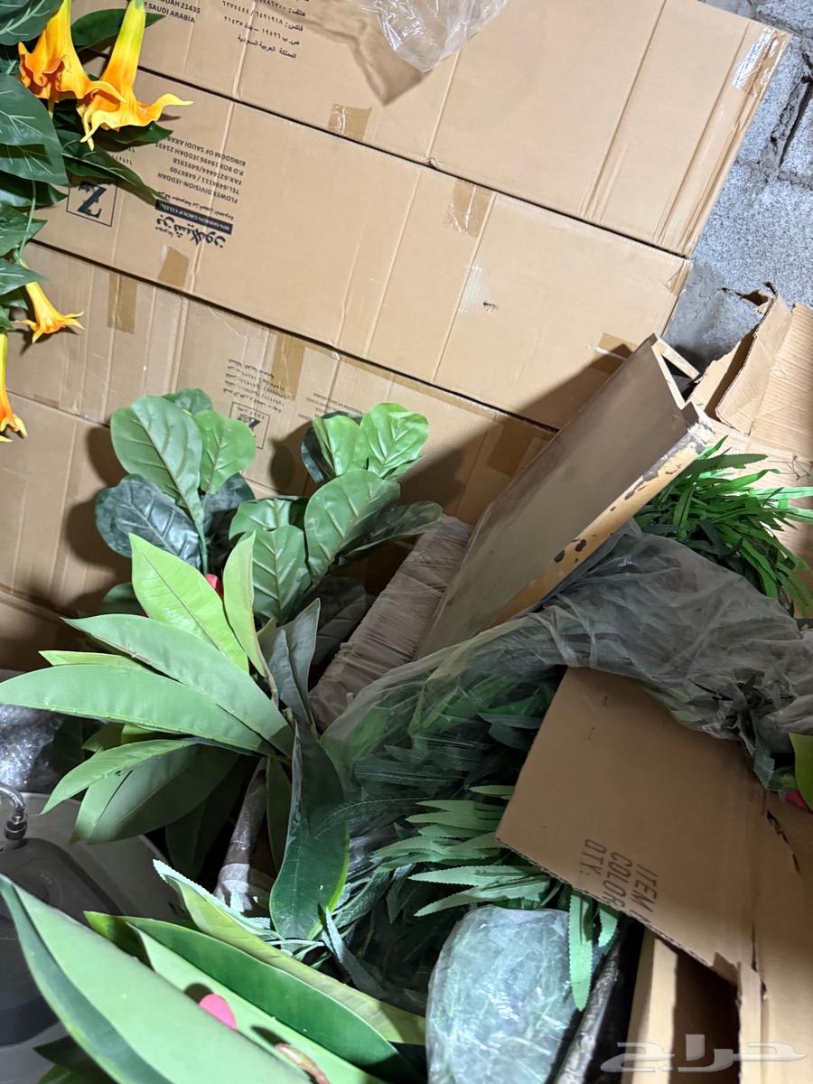 Artificial Ornamental Trees and Decorations63900903315202112