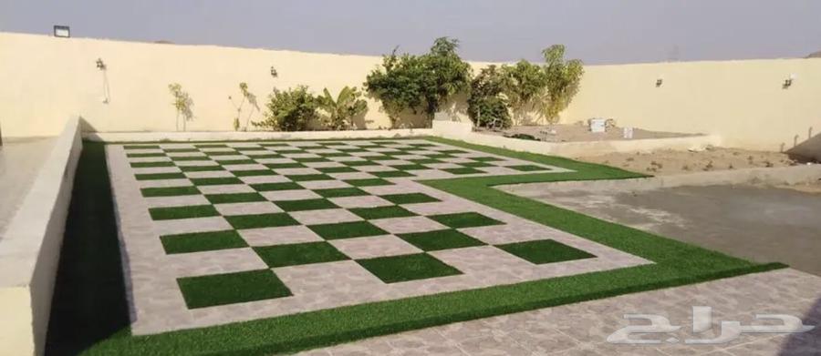 انجيلا ويتنامي اخضر في اخضر و اخضر مخلوط متوفر  له64438270172419111