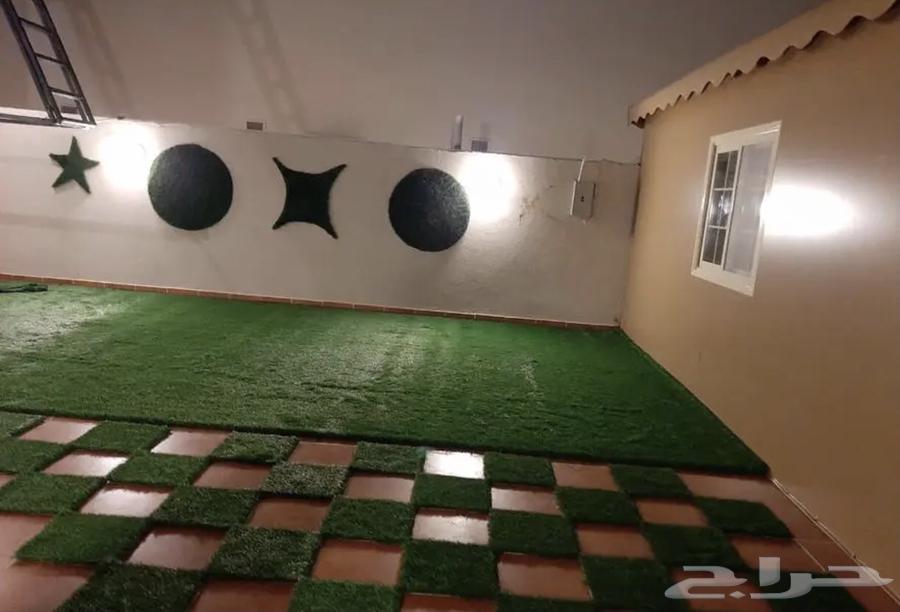 انجيلا ويتنامي اخضر في اخضر و اخضر مخلوط متوفر  له64438270172419110