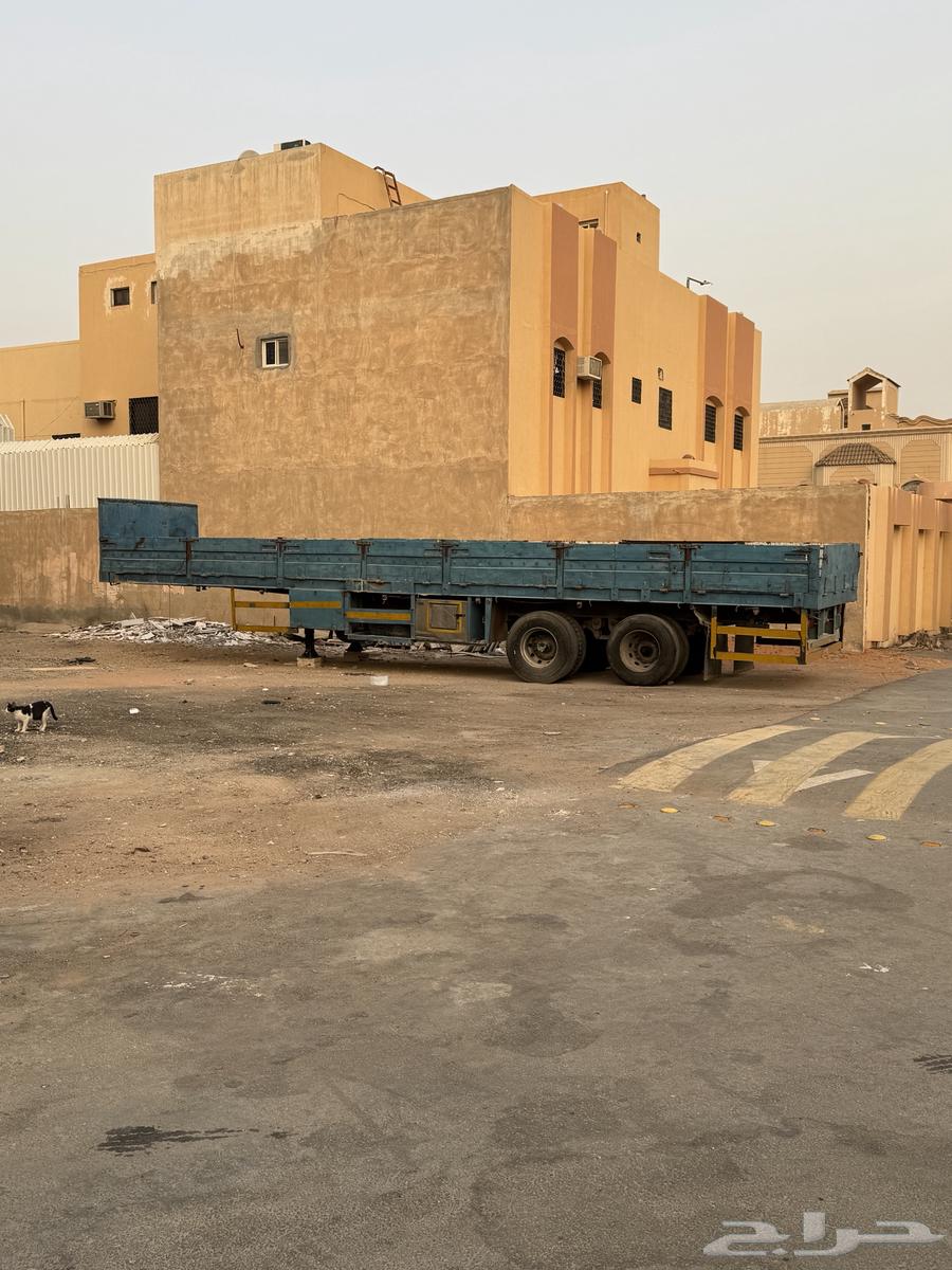 للبيع تيدر سطحه لعاب64252755719170113