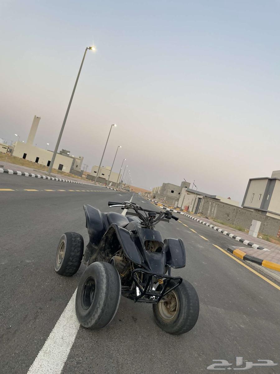 تيواني اسودي ادخل مراح تندم.64429210400770113