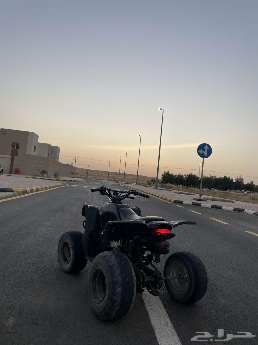 تيواني اسودي ادخل مراح تندم.64429210400770112