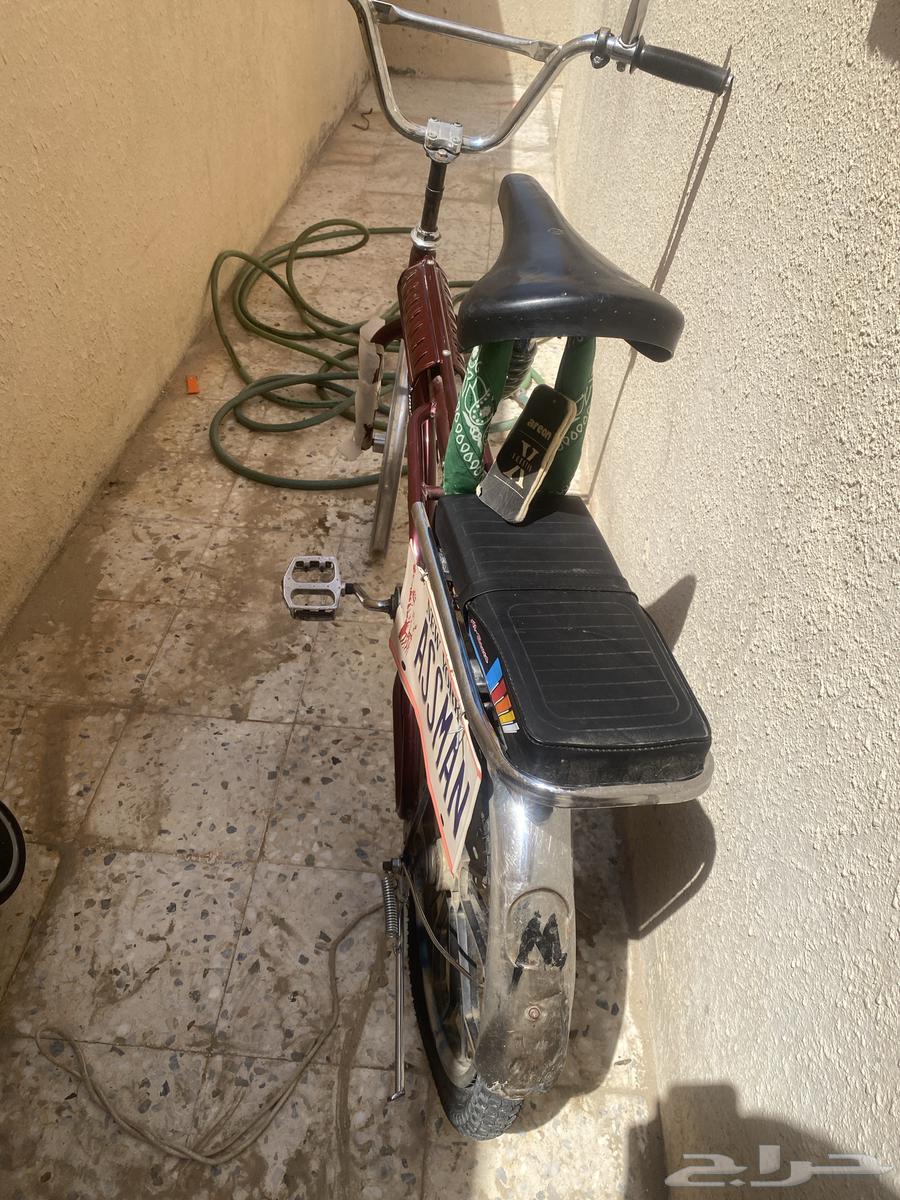 رامبو يبيلا كفر لستكين64431358855553110