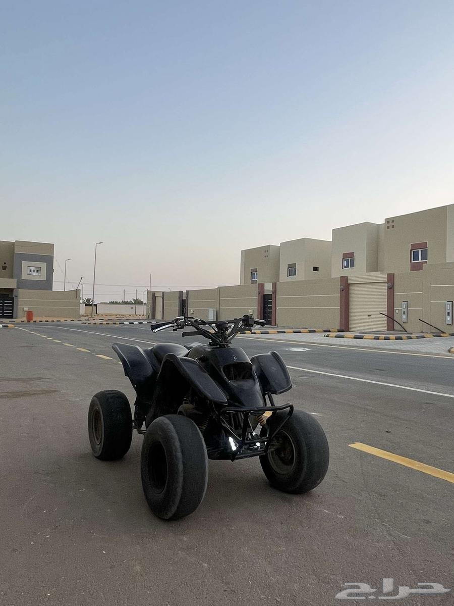 تيواني اسودي ادخل مراح تندم.64429210400770111