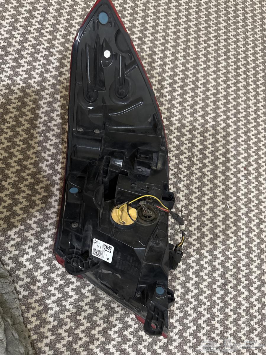 السطب اكورد2018 حق بلادها64429317257473113