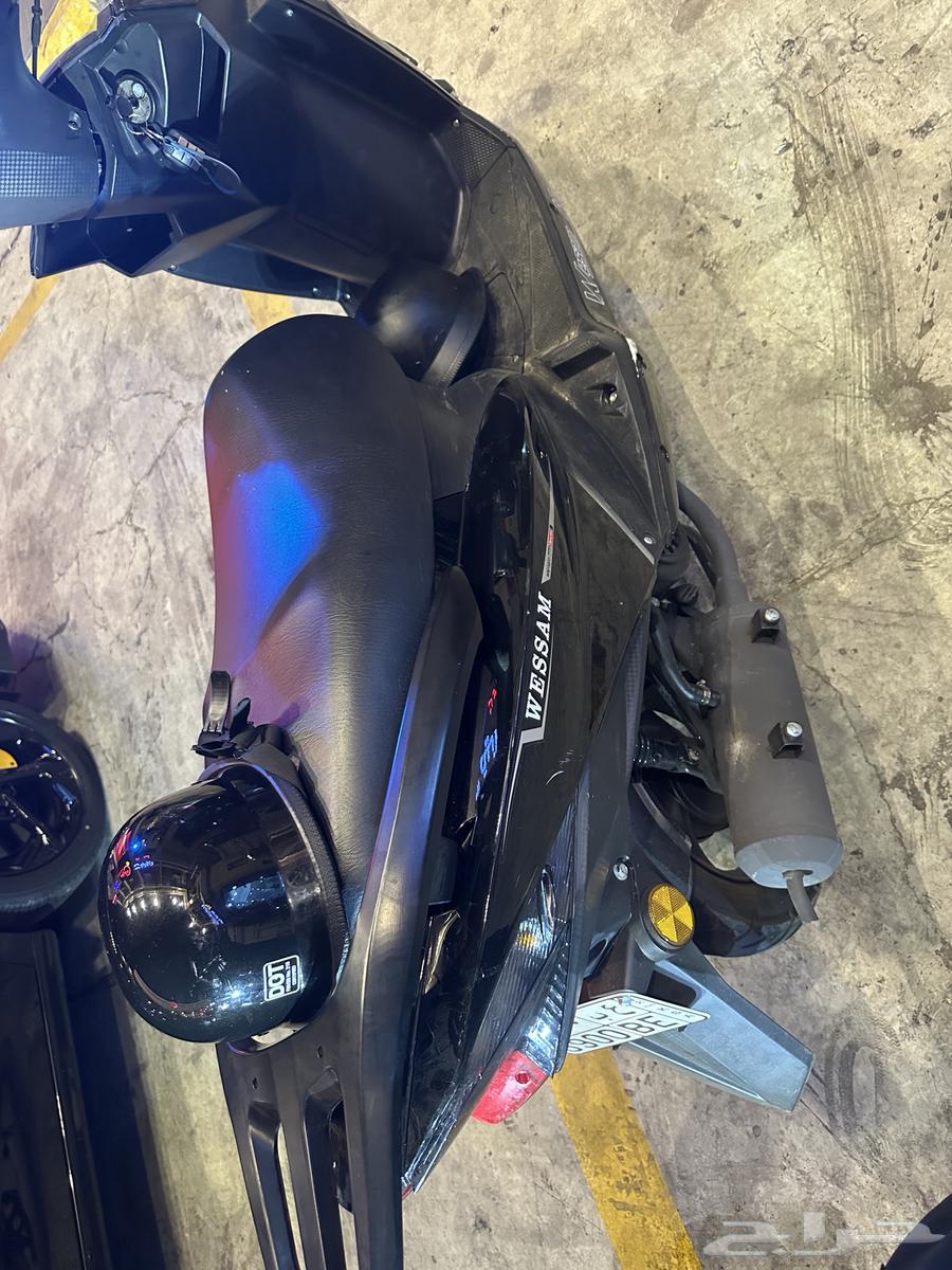 دباب الوسام الناري 202564428968815489112