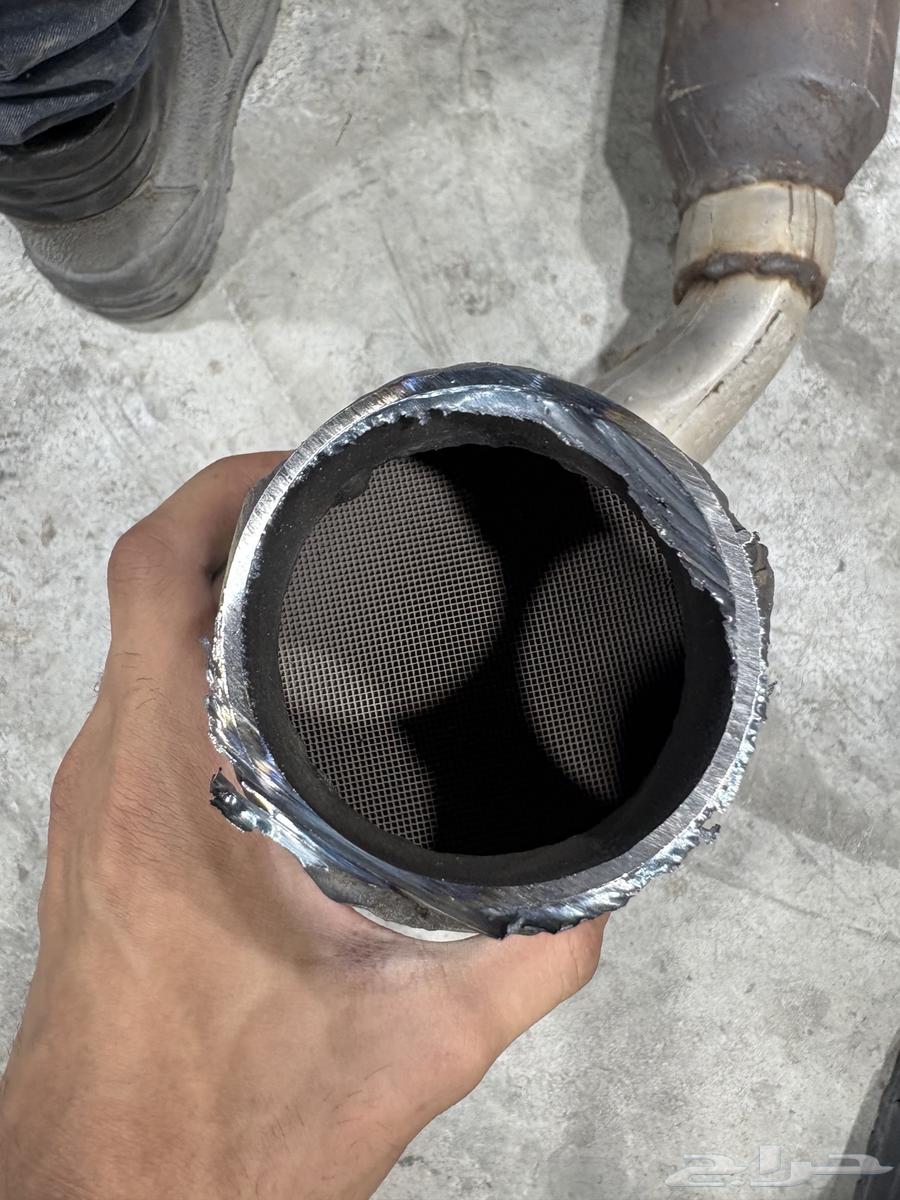 دبات بيئه64438847741186112