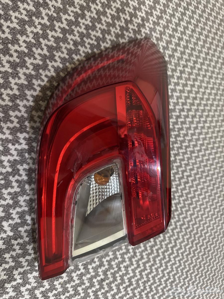 السطب اكورد2018 حق بلادها64429317257473110