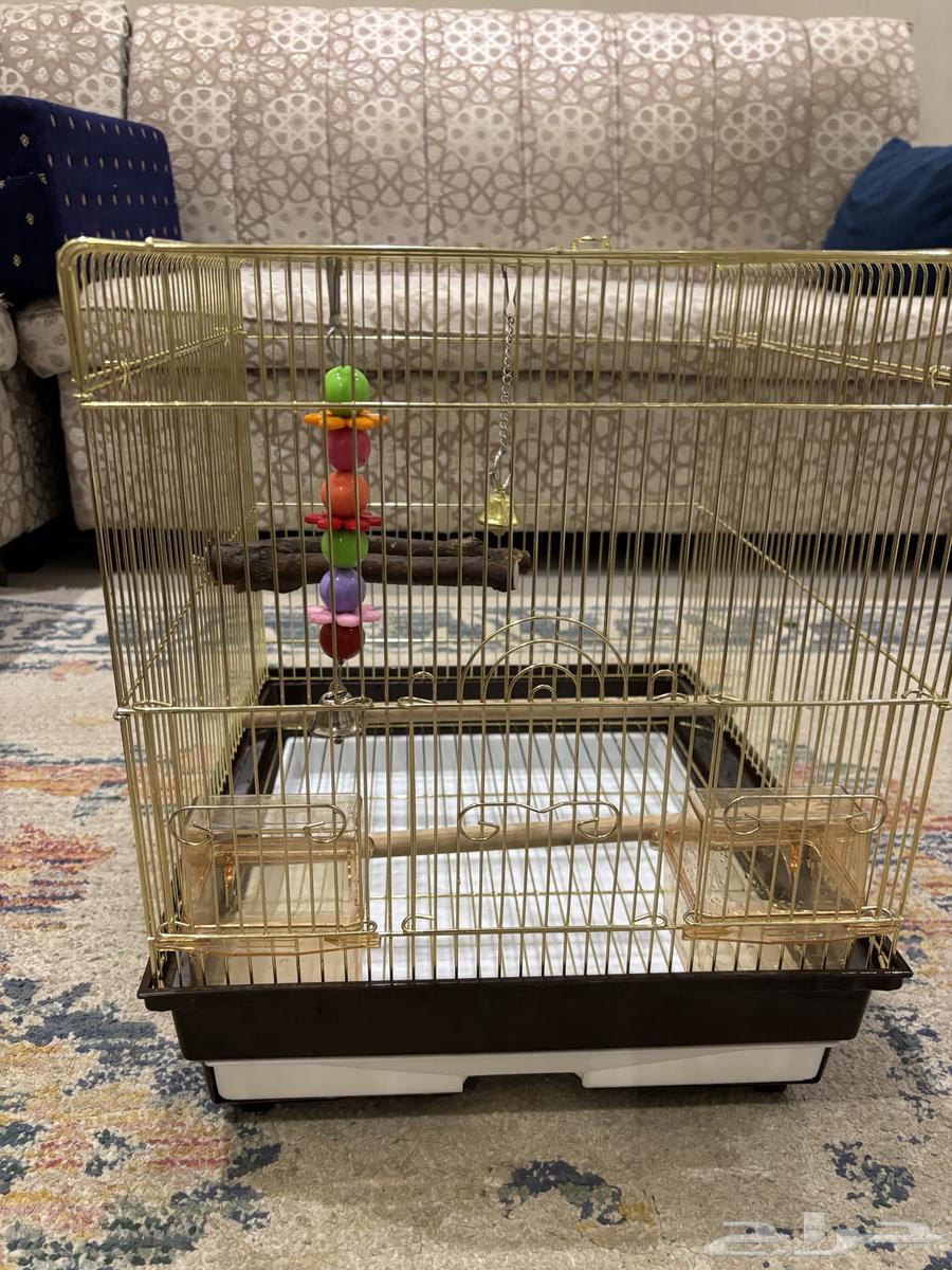 قفص طير64295120000129112