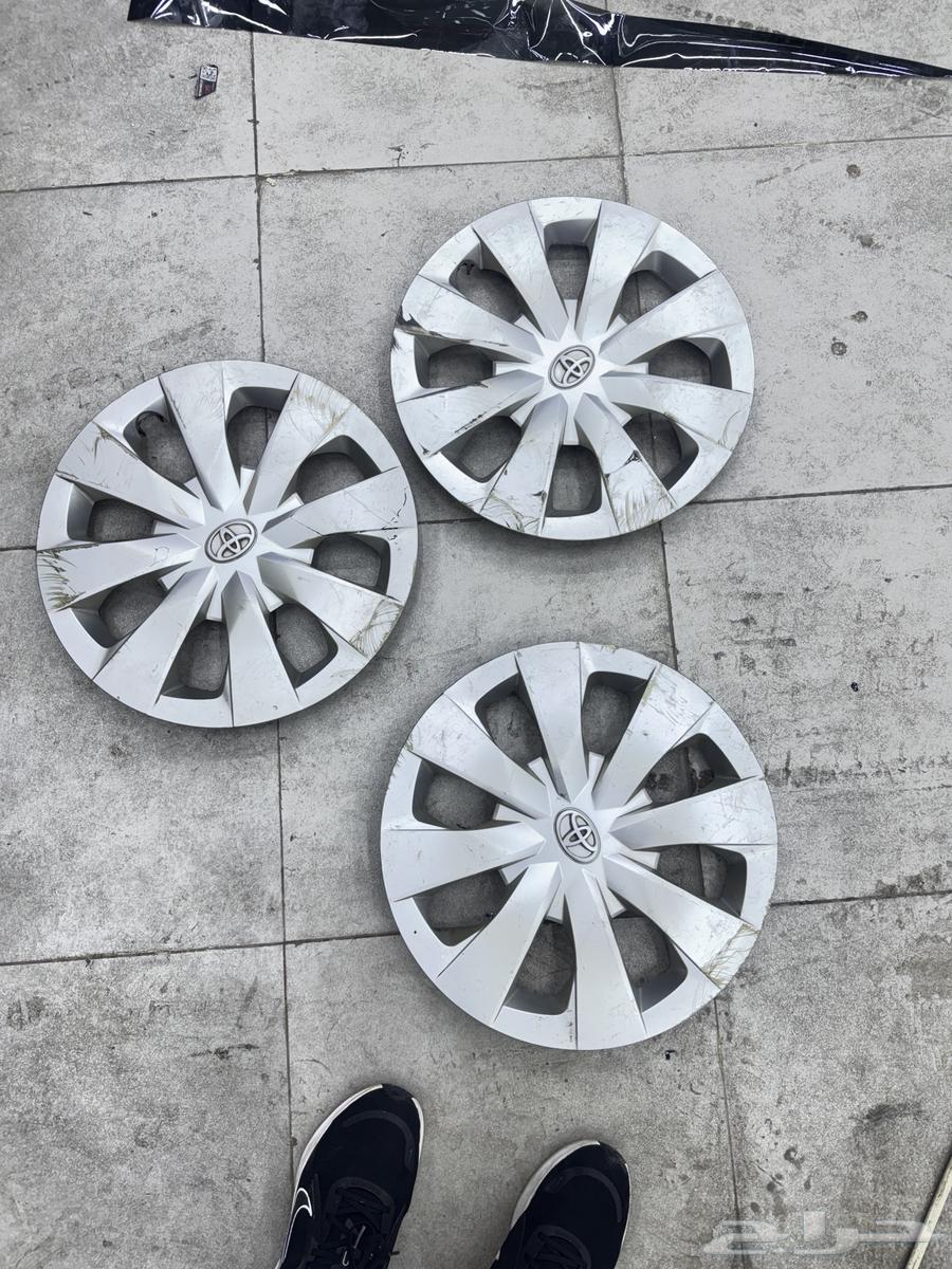 طيس كورلا 2020-202464439036947971113