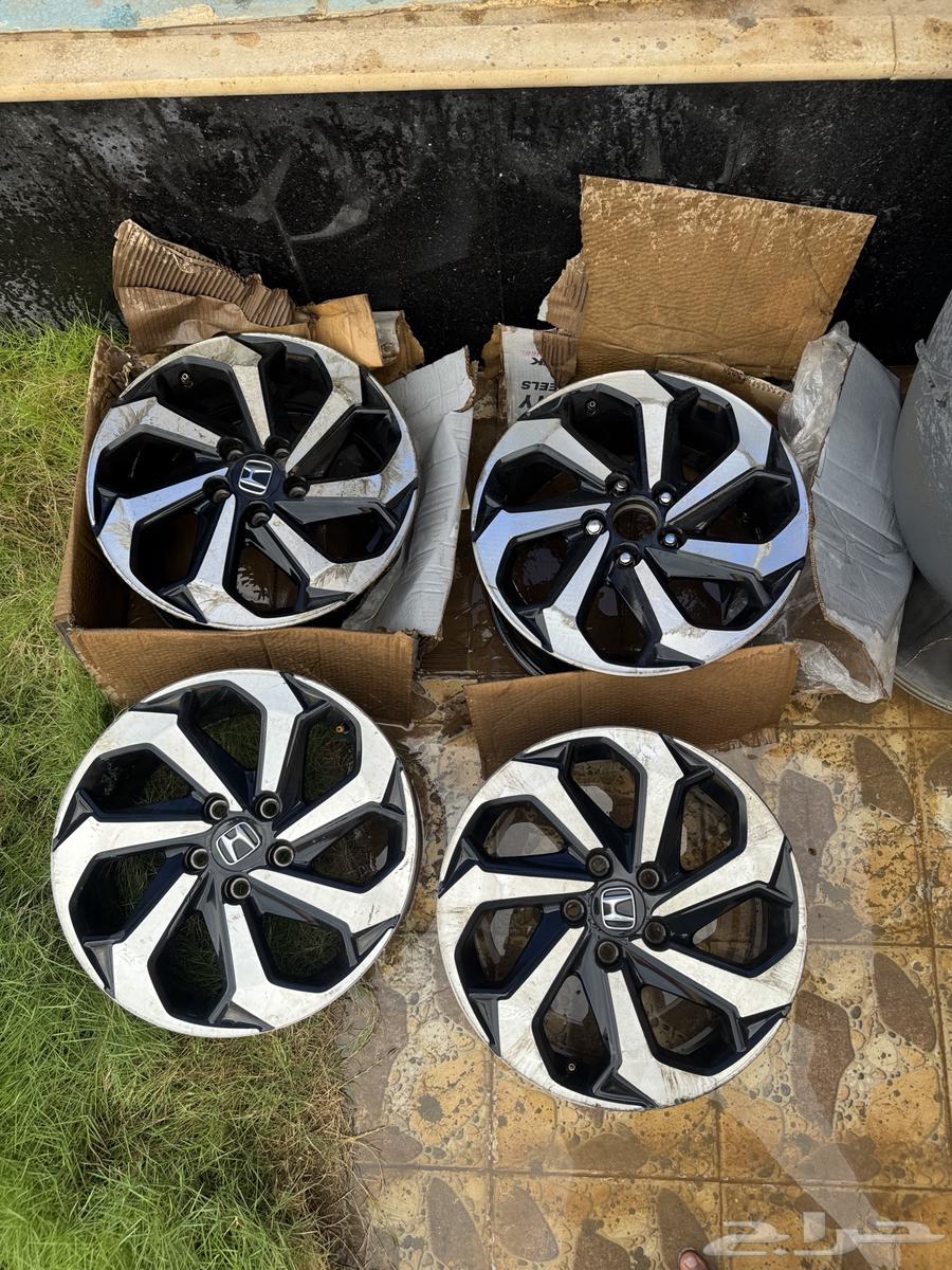 جنوط اكورد 17 وكالة64430110881923112