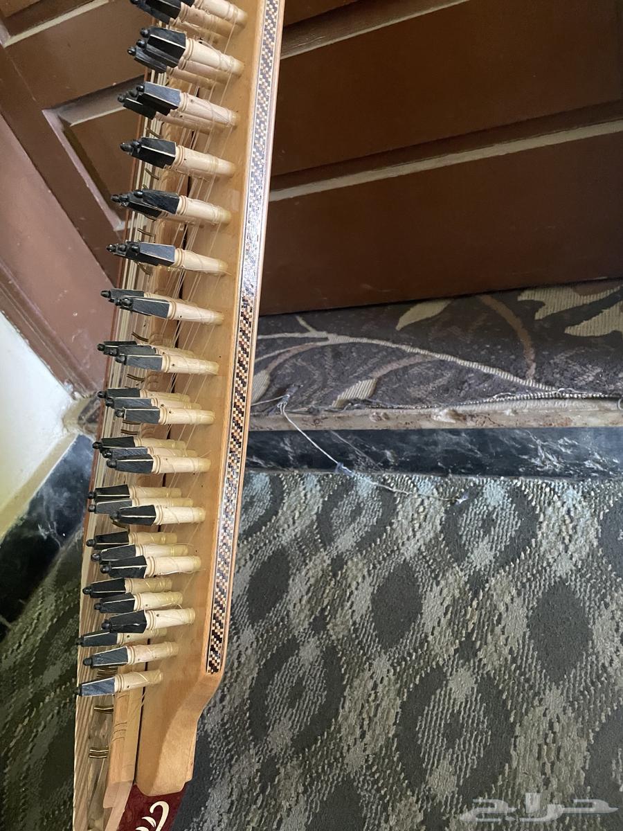 قانون اسكندراني جديد64295132604546111