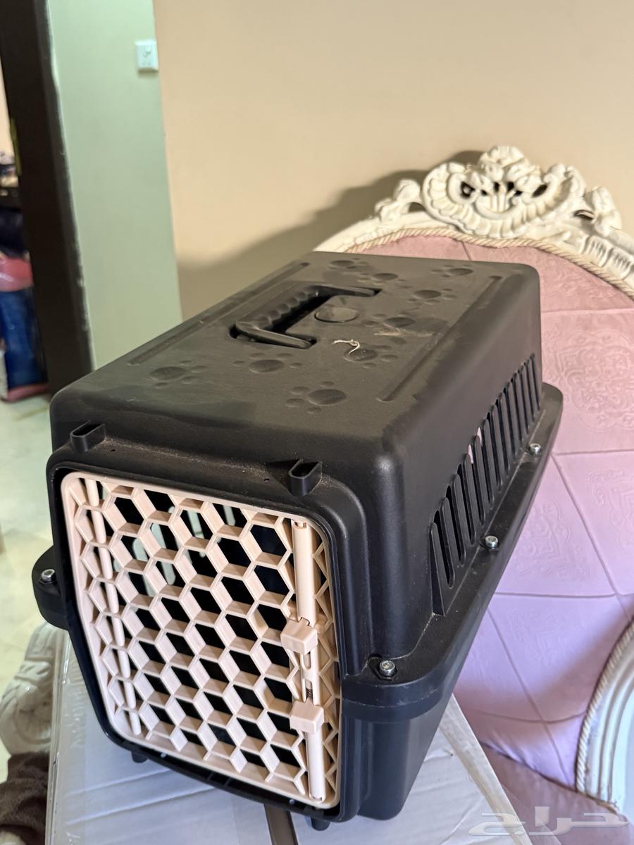 صندوق تنقل قطط64296978437761111