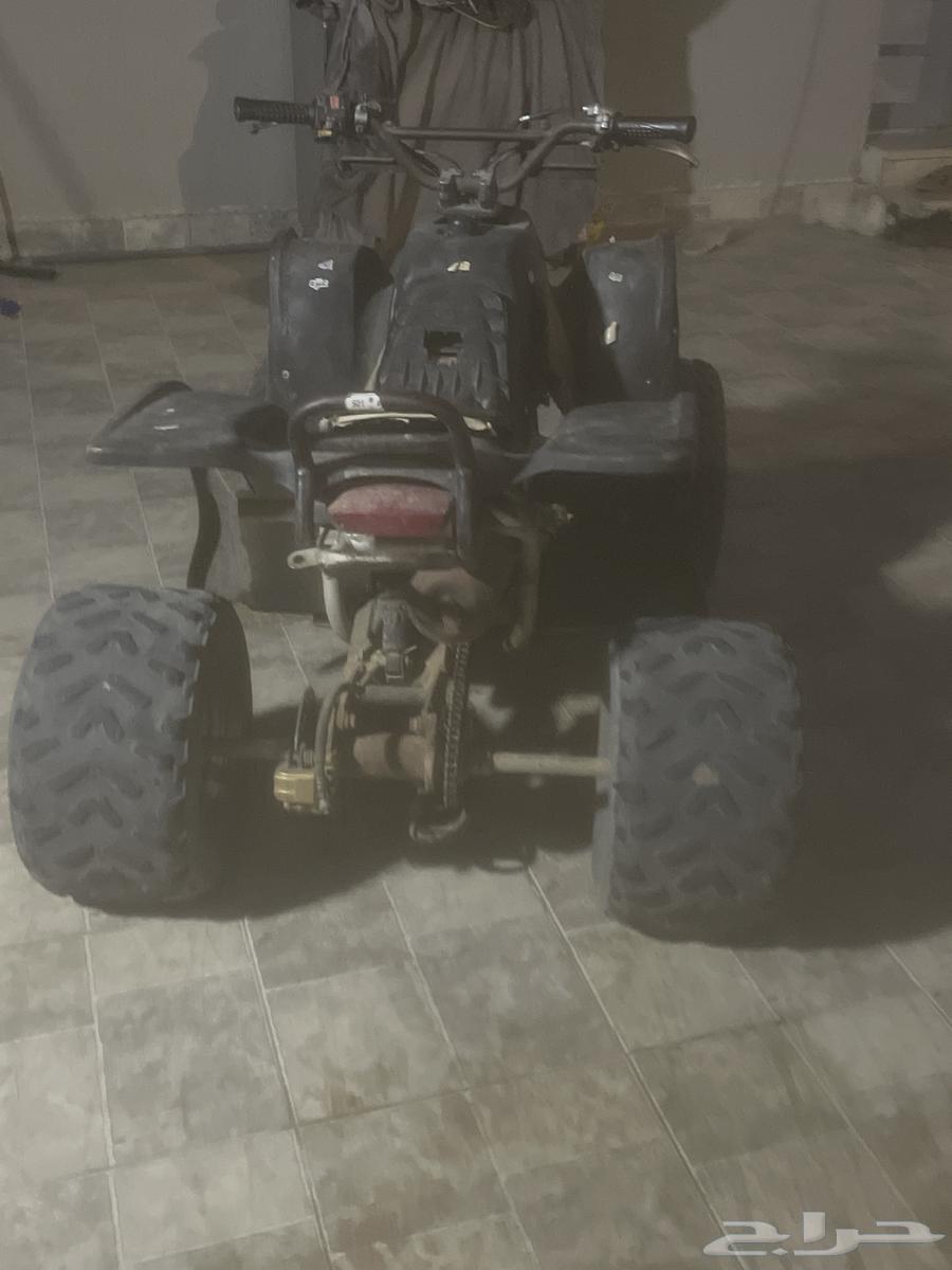 دباب أنوع تيوني الحجم كبير64437773213571111