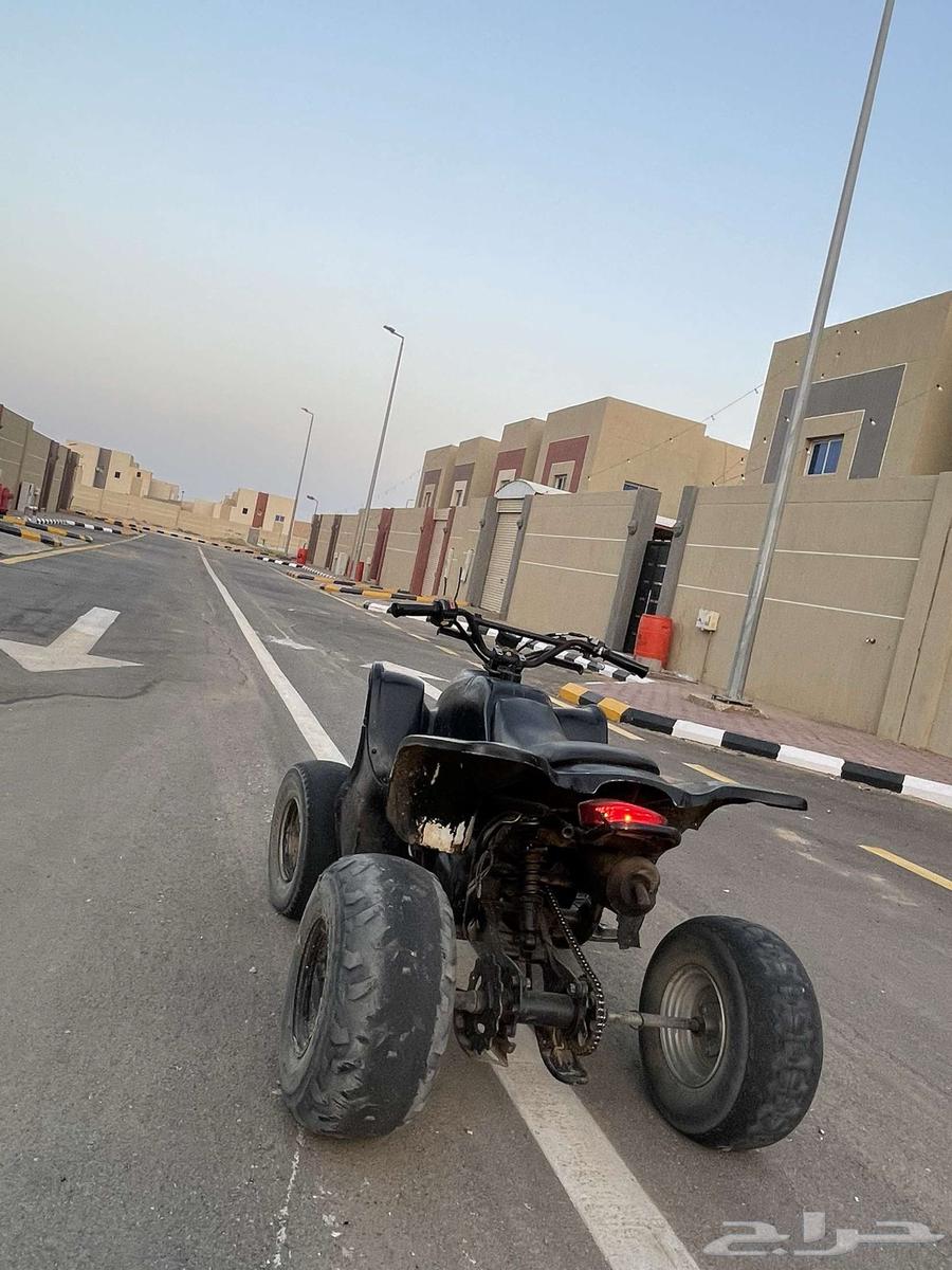 تيواني اسودي ادخل مراح تندم.64429210400770114