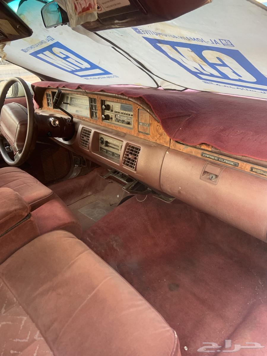 كابريس 1993 (صابونه) LTZ64429802568963114