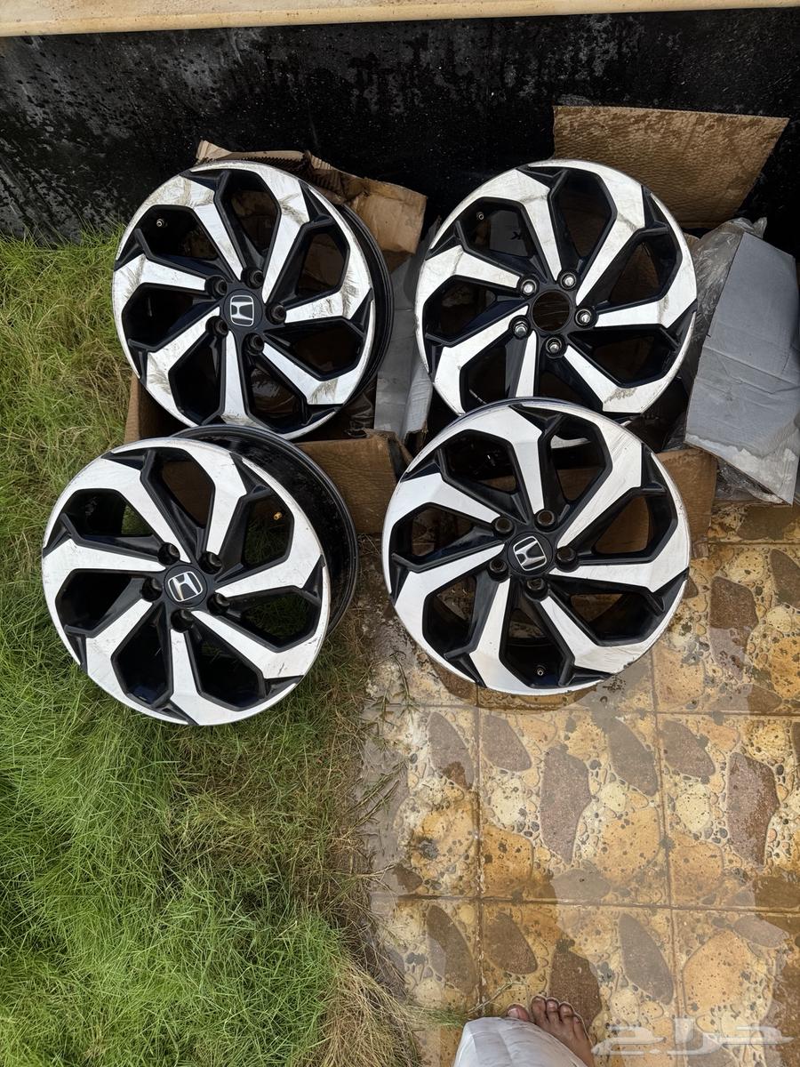 جنوط اكورد 17 وكالة64430110881923110