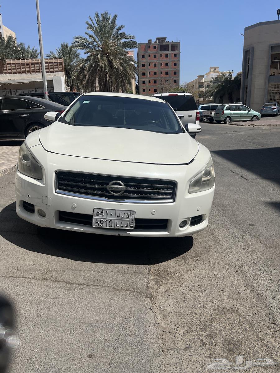 Maxima Full Option 2014 for Sale, White Color64438565102338110