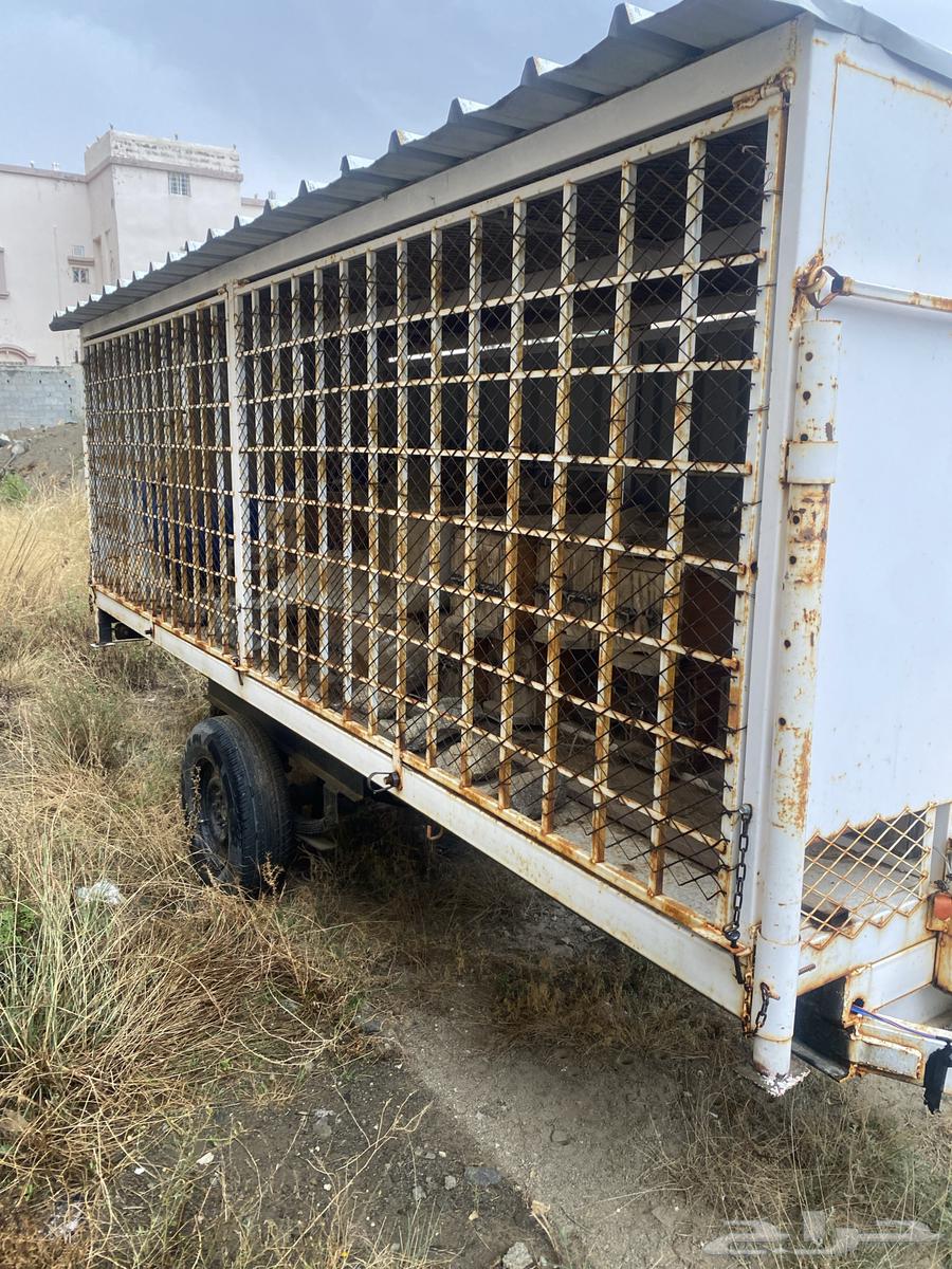 قلص نحل للبيع64436306472707112